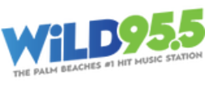 WLDI-FM logo